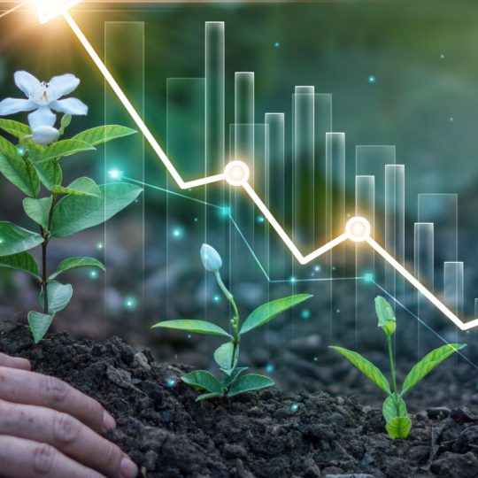 Investors Image - Arduro